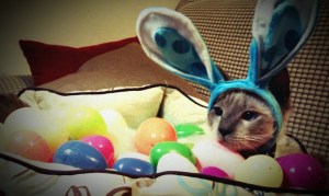 Easter Mocha